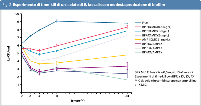 fig2